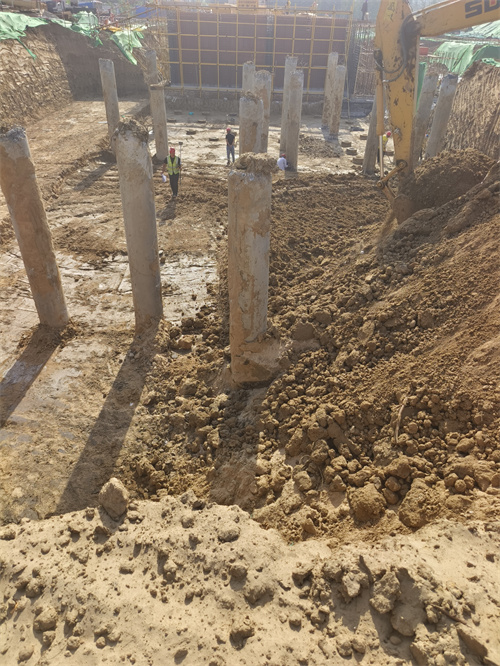 沛县探花APP苹果版下载